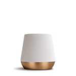 Joey Double Wall Ceramic Mugs